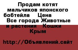 Продам котят мальчиков японского бобтейла. › Цена ­ 30 000 - Все города Животные и растения » Кошки   . Крым